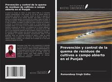 Bookcover of Prevención y control de la quema de residuos de cultivos a campo abierto en el Punjab