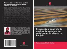 Bookcover of Prevenção e controlo da queima de resíduos de culturas a céu aberto no Punjab