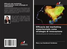 Efficacia del marketing esperienziale come strategia di innovazione kitap kapağı