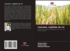 Capa do livro de Lascano, capitale du riz 