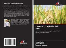 Buchcover von Lascano, capitale del riso