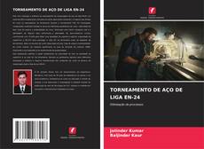 TORNEAMENTO DE AÇO DE LIGA EN-24 kitap kapağı