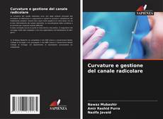 Buchcover von Curvature e gestione del canale radicolare
