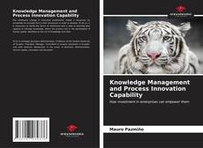 Buchcover von Knowledge Management and Process Innovation Capability