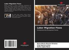 Bookcover of Labor Migration Flows