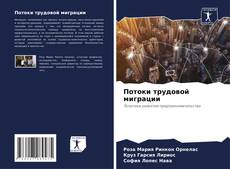 Bookcover of Потоки трудовой миграции