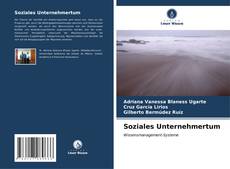 Bookcover of Soziales Unternehmertum