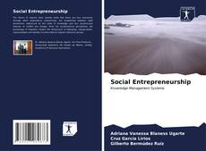 Capa do livro de Social Entrepreneurship 