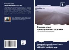 Capa do livro de Социальное предпринимательство 