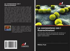 Buchcover von La connessione con i fluorochinoloni