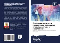 Bookcover of Правовая политика управления дорожным строительством и заселением