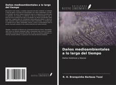 Bookcover of Daños medioambientales a lo largo del tiempo