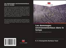 Capa do livro de Les dommages environnementaux dans le temps 