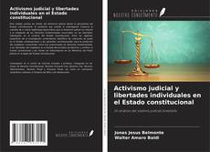 Bookcover of Activismo judicial y libertades individuales en el Estado constitucional