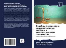 Судебный активизм и индивидуальные свободы в конституционном государстве kitap kapağı