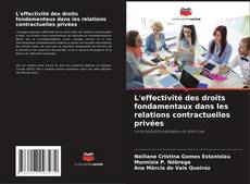 Bookcover of L'effectivité des droits fondamentaux dans les relations contractuelles privées