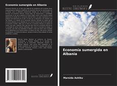 Economía sumergida en Albania kitap kapağı
