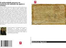 Copertina di A maternidade precoce no contexto do subsídio de apoio à criança