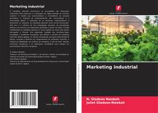 Bookcover of Marketing industrial