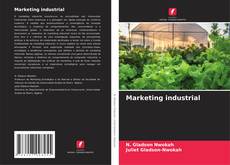 Copertina di Marketing industrial