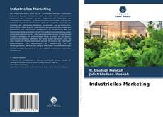 Copertina di Industrielles Marketing
