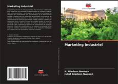 Capa do livro de Marketing industriel 