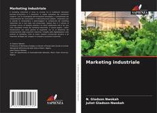 Capa do livro de Marketing industriale 