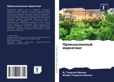 Bookcover of Промышленный маркетинг