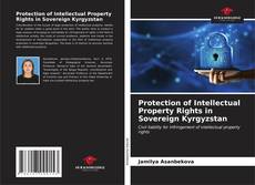Capa do livro de Protection of Intellectual Property Rights in Sovereign Kyrgyzstan 
