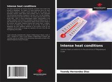 Intense heat conditions kitap kapağı