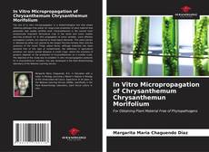Portada del libro de In Vitro Micropropagation of Chrysanthemum Chrysanthemun Morifolium