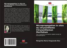 Bookcover of Micropropagation in vitro du chrysanthème Chrysanthemun Morifolium