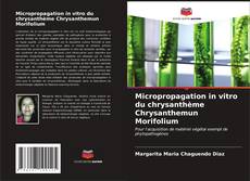 Capa do livro de Micropropagation in vitro du chrysanthème Chrysanthemun Morifolium 