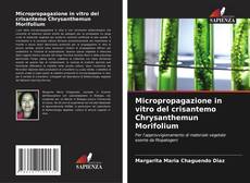 Micropropagazione in vitro del crisantemo Chrysanthemun Morifolium kitap kapağı