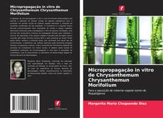 Copertina di Micropropagação in vitro de Chrysanthemum Chrysanthemun Morifolium