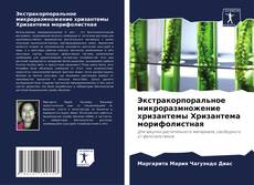 Buchcover von Экстракорпоральное микроразмножение хризантемы Хризантема морифолистная