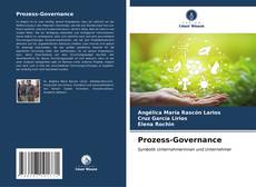 Portada del libro de Prozess-Governance