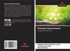 Capa do livro de Process Governance 