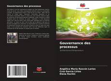 Buchcover von Gouvernance des processus