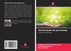 Capa do livro de Governação de processos 