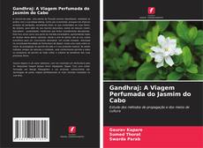 Buchcover von Gandhraj: A Viagem Perfumada do Jasmim do Cabo