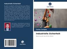 Buchcover von Industrielle Sicherheit