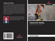 Industrial Safety kitap kapağı