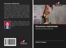 Sicurezza industriale kitap kapağı