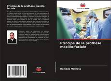 Bookcover of Principe de la prothèse maxillo-faciale