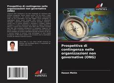 Copertina di Prospettiva di contingenza nelle organizzazioni non governative (ONG)