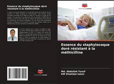 Borítókép a  Essence du staphylocoque doré résistant à la méthicilline - hoz