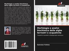 Capa do livro de Morfologia e analisi biochimica delle alghe terrestri e acquatiche 