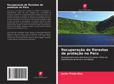 Capa do livro de Recuperação de florestas de proteção no Peru 