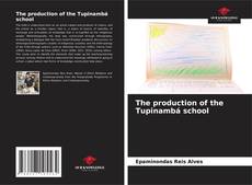 Capa do livro de The production of the Tupinambá school 